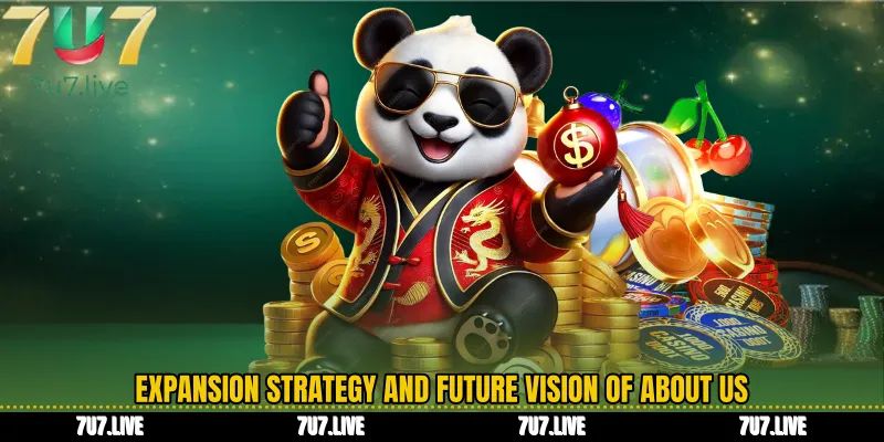 Expansion Strategy and Future Vision of About us