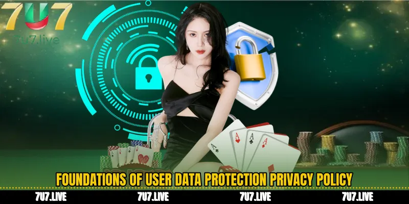 Foundations of User Data Protection Privacy Policy