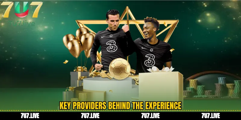Key providers behind the experience