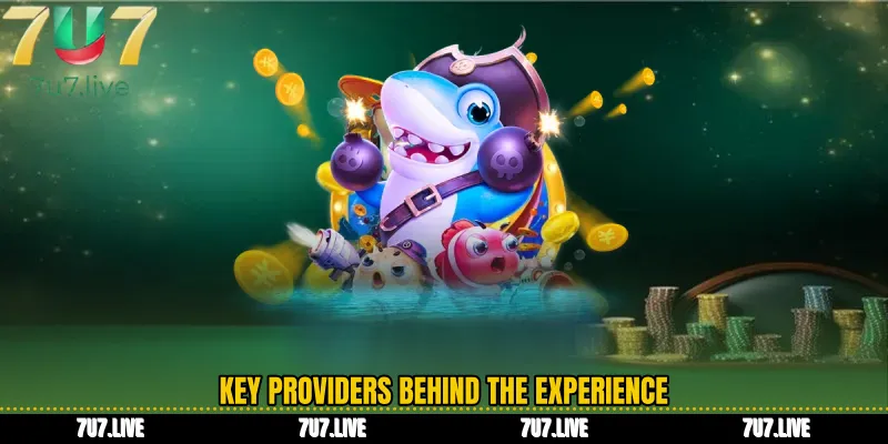 Key Providers Behind the Experience