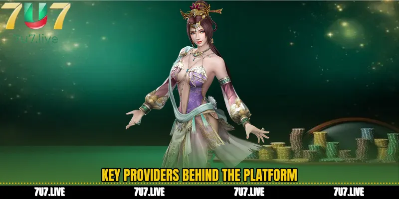 Key providers behind the platform