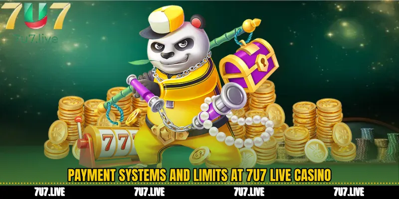 Payment Systems and Limits at 7U7 Live casino